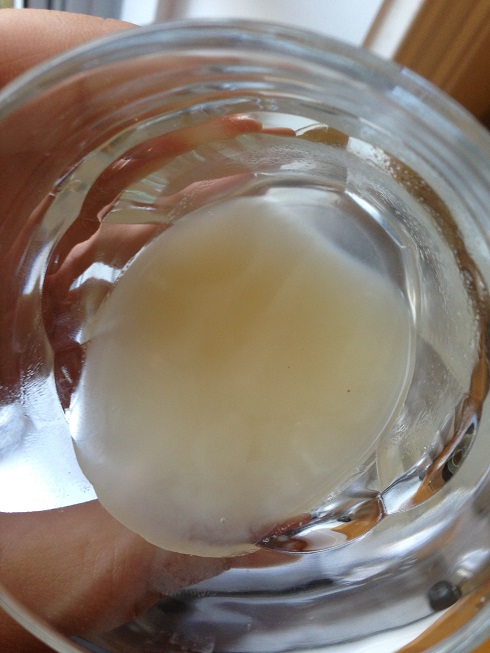 On dirait vraiment ce qu'on dirait que ça l'air... 