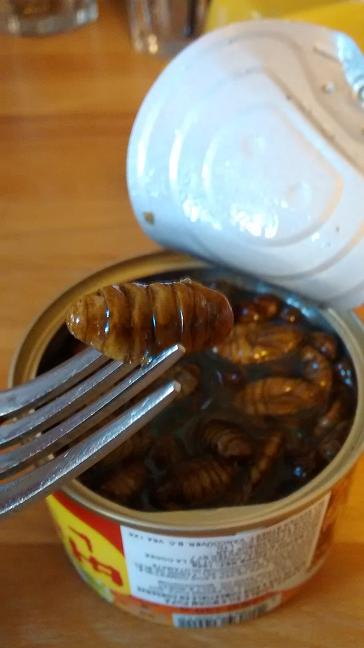 Du bon manger - silkworm 3