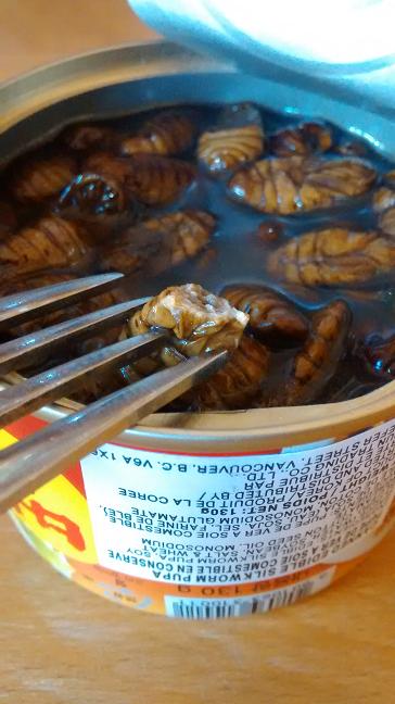 Du bon manger - silkworm 4