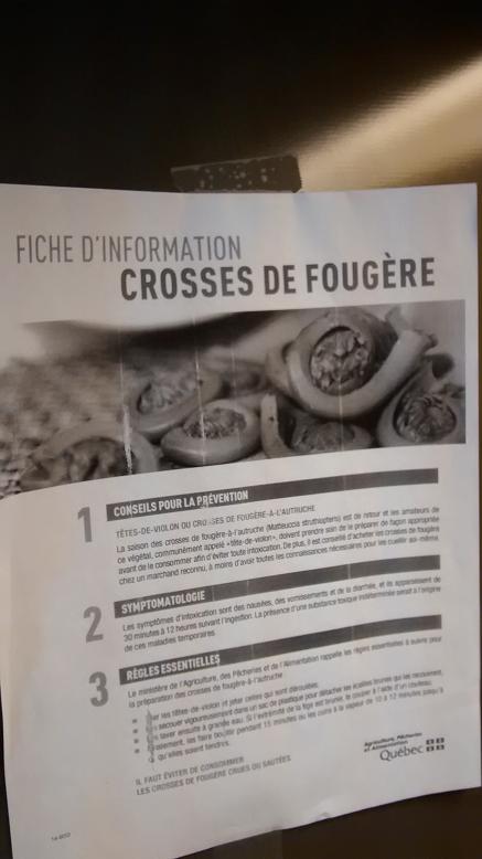 Du Bon Manger - crosses de fougère